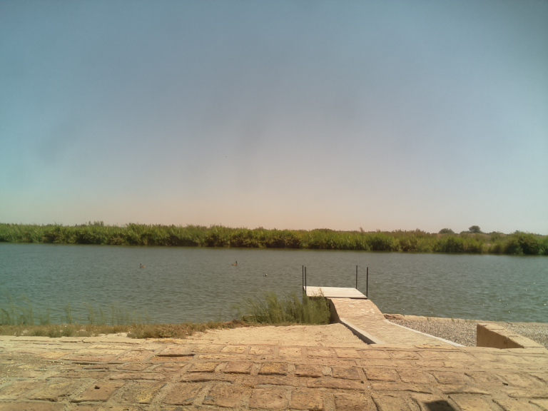 HardyCam Photo 15