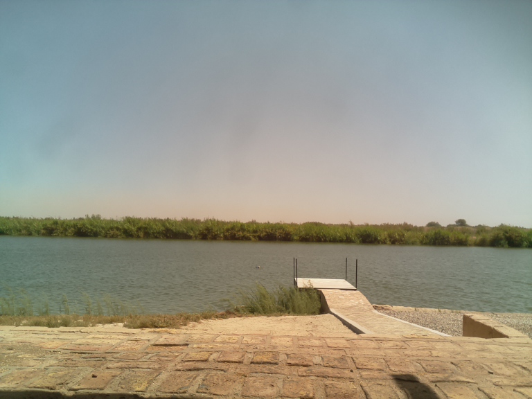 HardyCam Photo 16