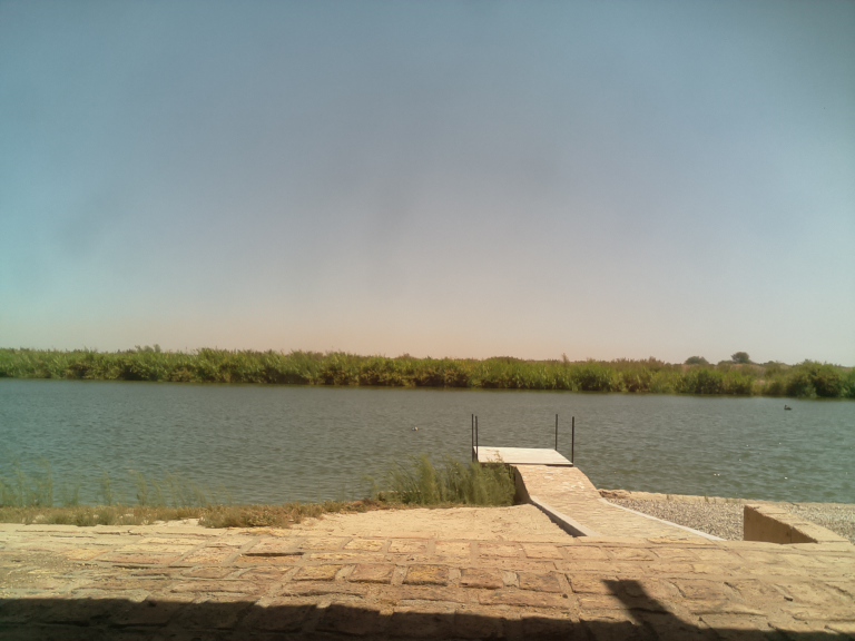 HardyCam Photo 17
