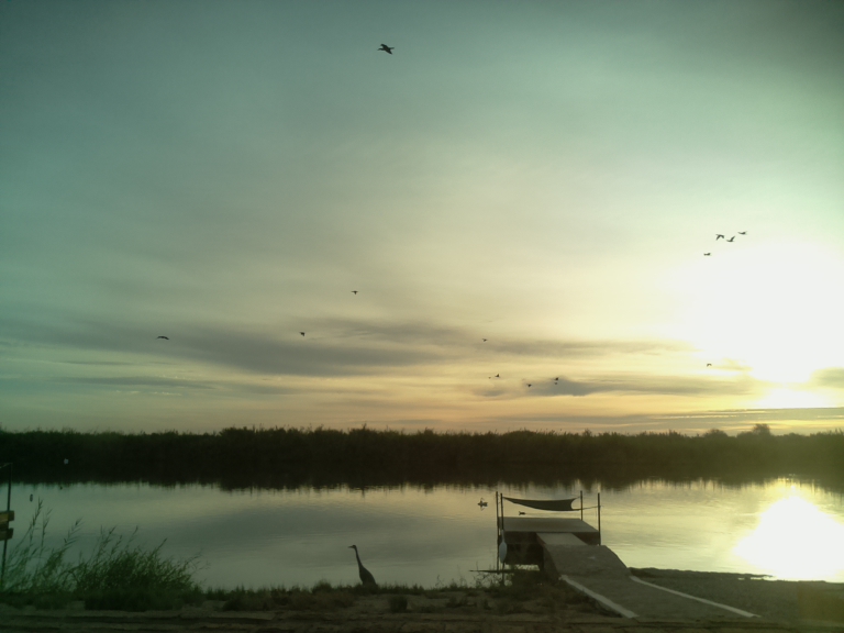 HardyCam Photo 18564