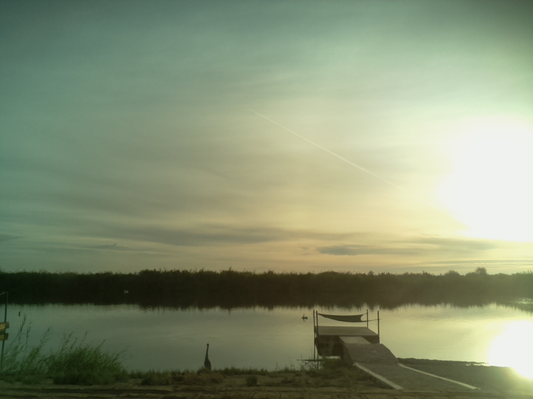 HardyCam Photo 18565