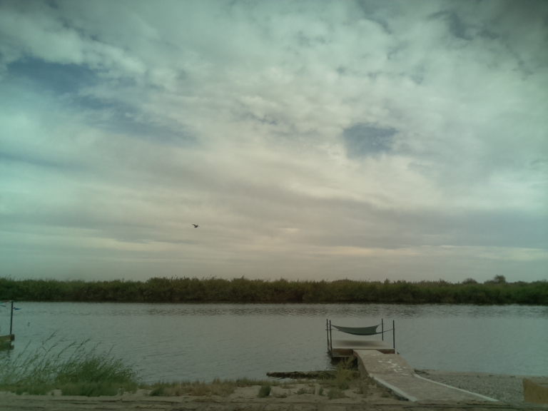 HardyCam Photo 19381