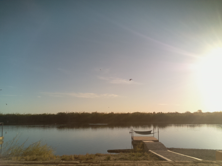 HardyCam Photo 20913