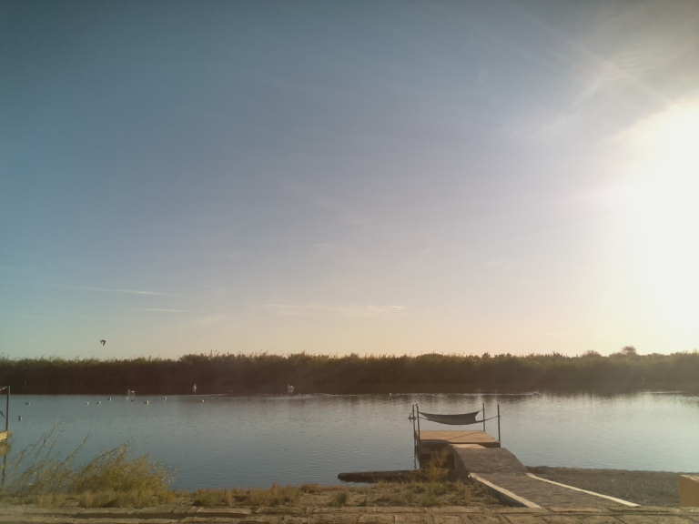 HardyCam Photo 20914
