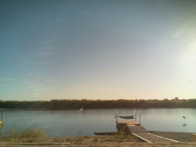 HardyCam Photo 20915