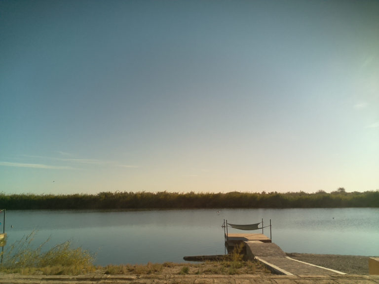 HardyCam Photo 20916