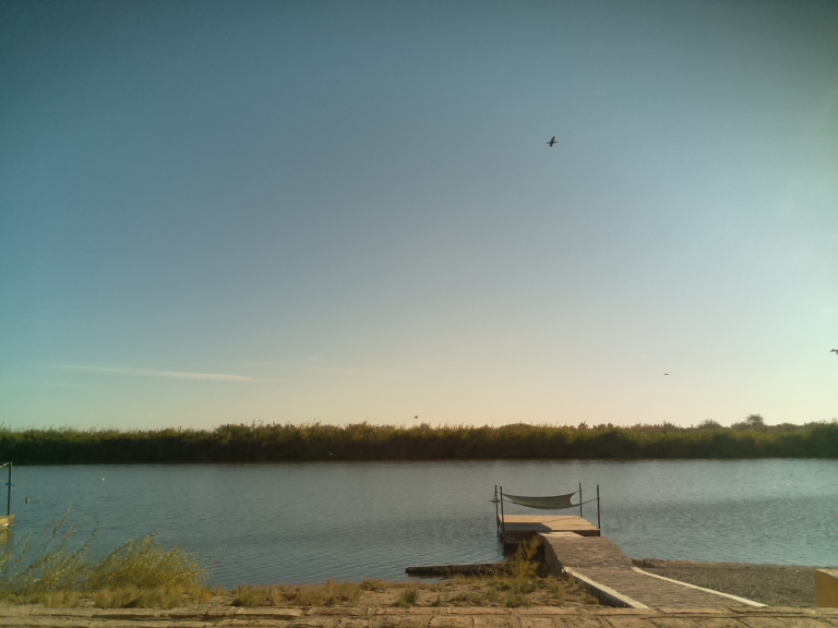 HardyCam Photo 20917