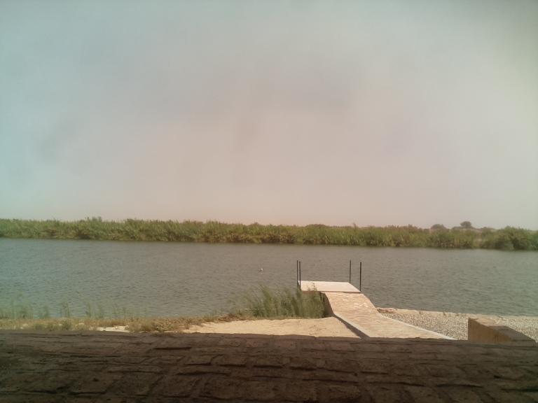 HardyCam Photo 23