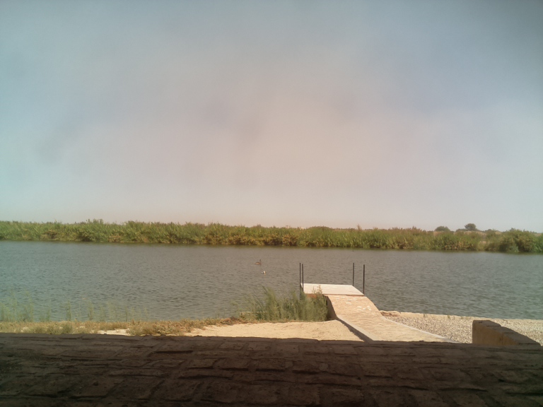 HardyCam Photo 25