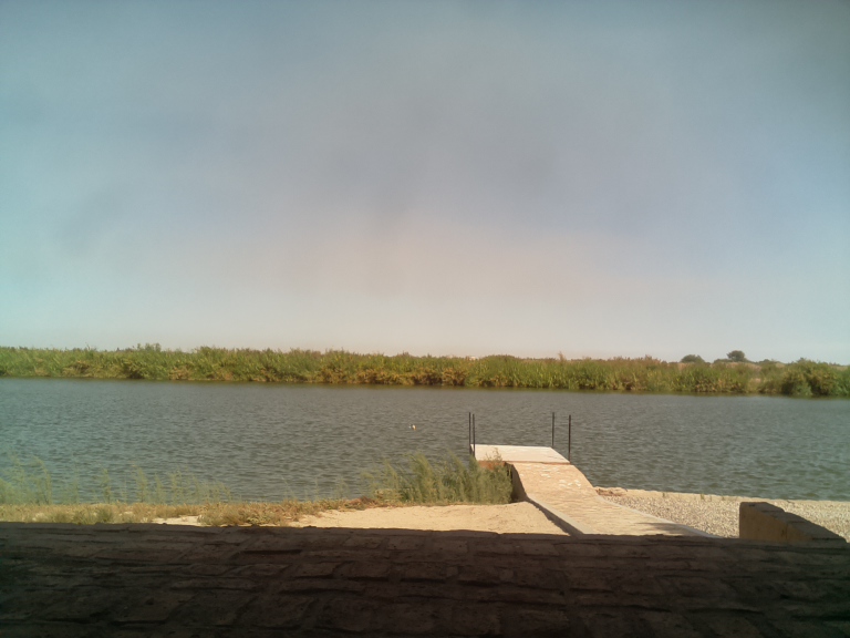 HardyCam Photo 27