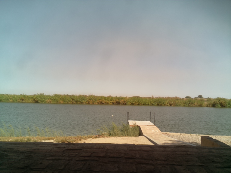 HardyCam Photo 28