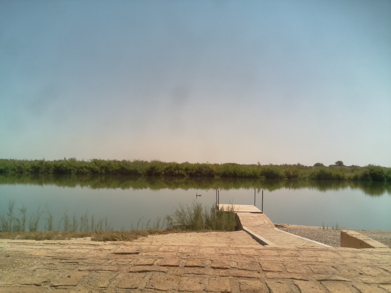 HardyCam Photo 337