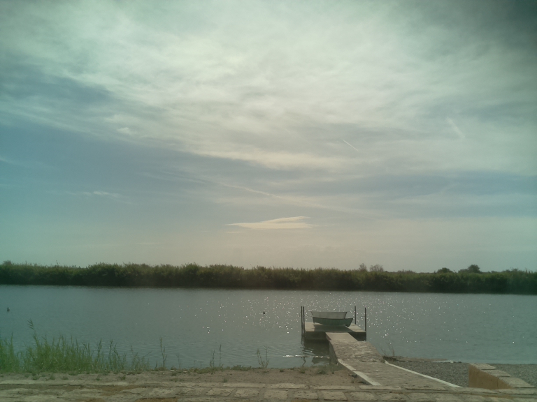 HardyCam Photo 50665