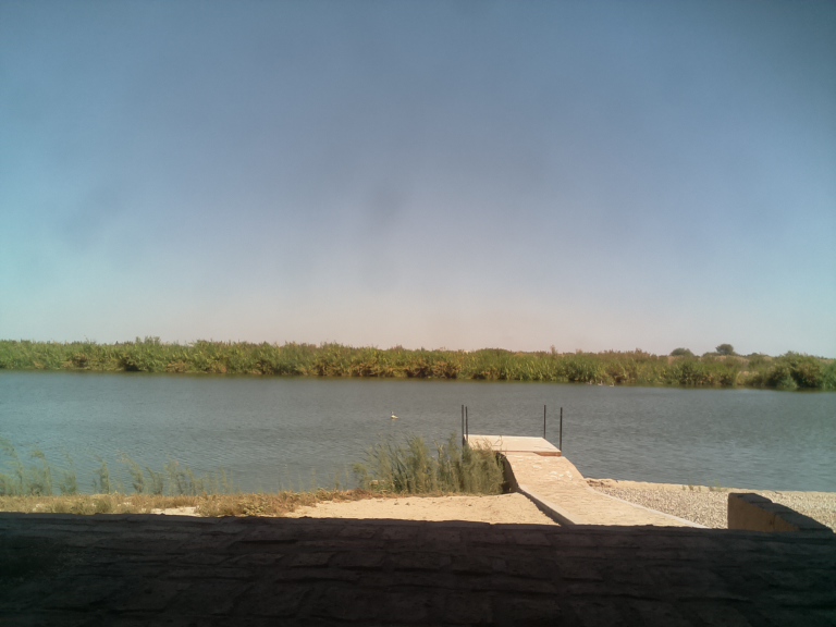 HardyCam Photo 570