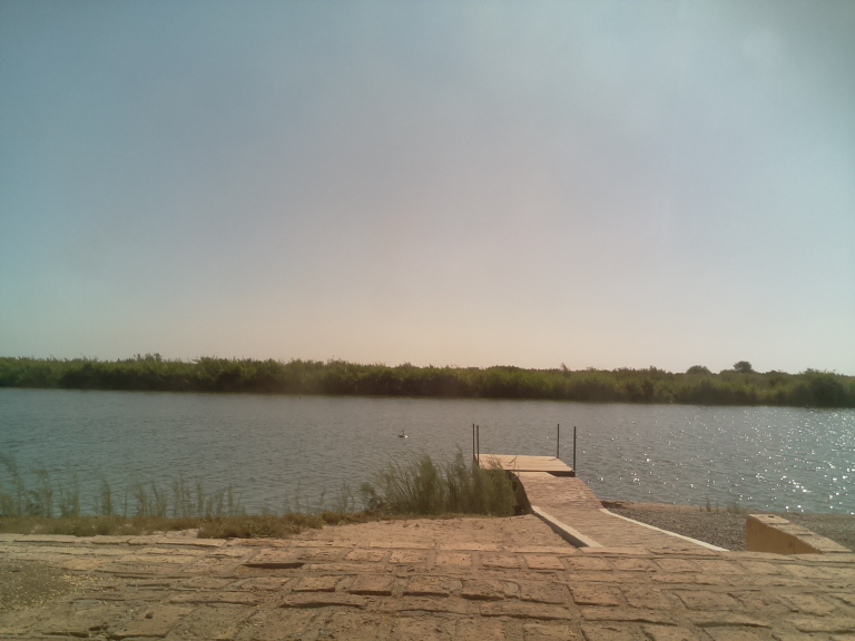 HardyCam Photo 661