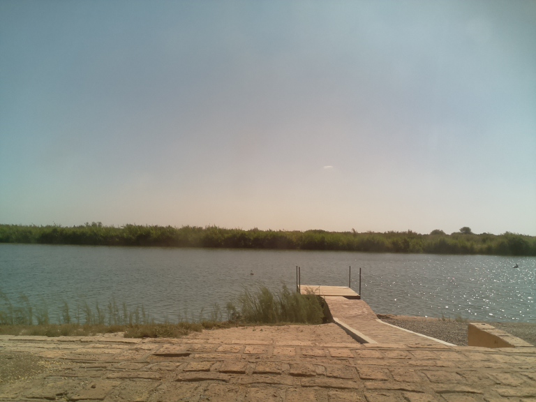 HardyCam Photo 662