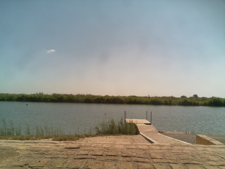 HardyCam Photo 663