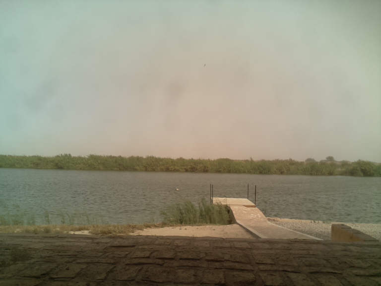 HardyCam Photo 684