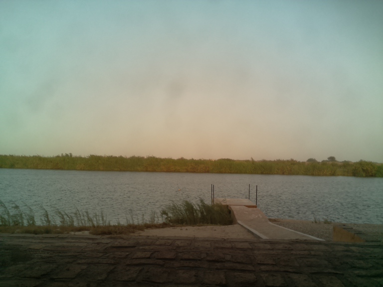 HardyCam Photo 694